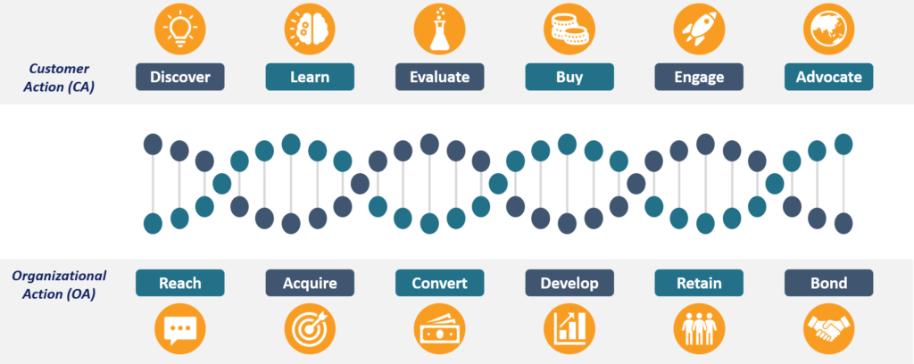 A diagram showing the relationship between Customer Action and Organizational Action 