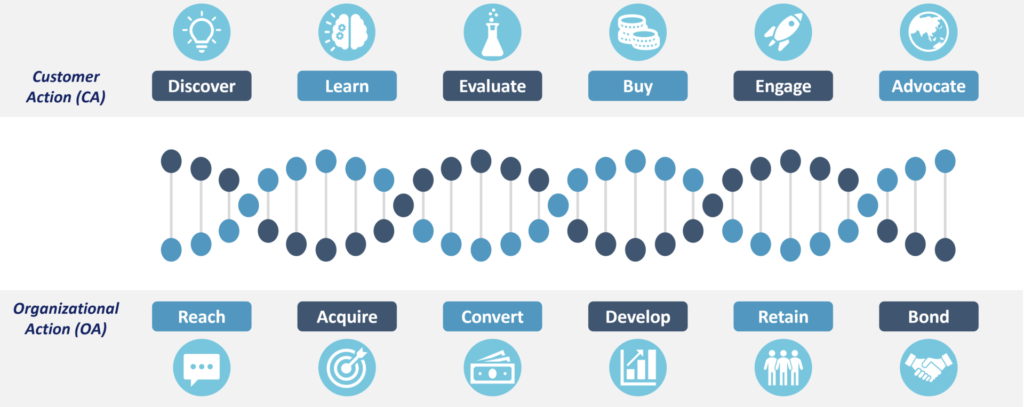 Illustration of the CxDNA framework