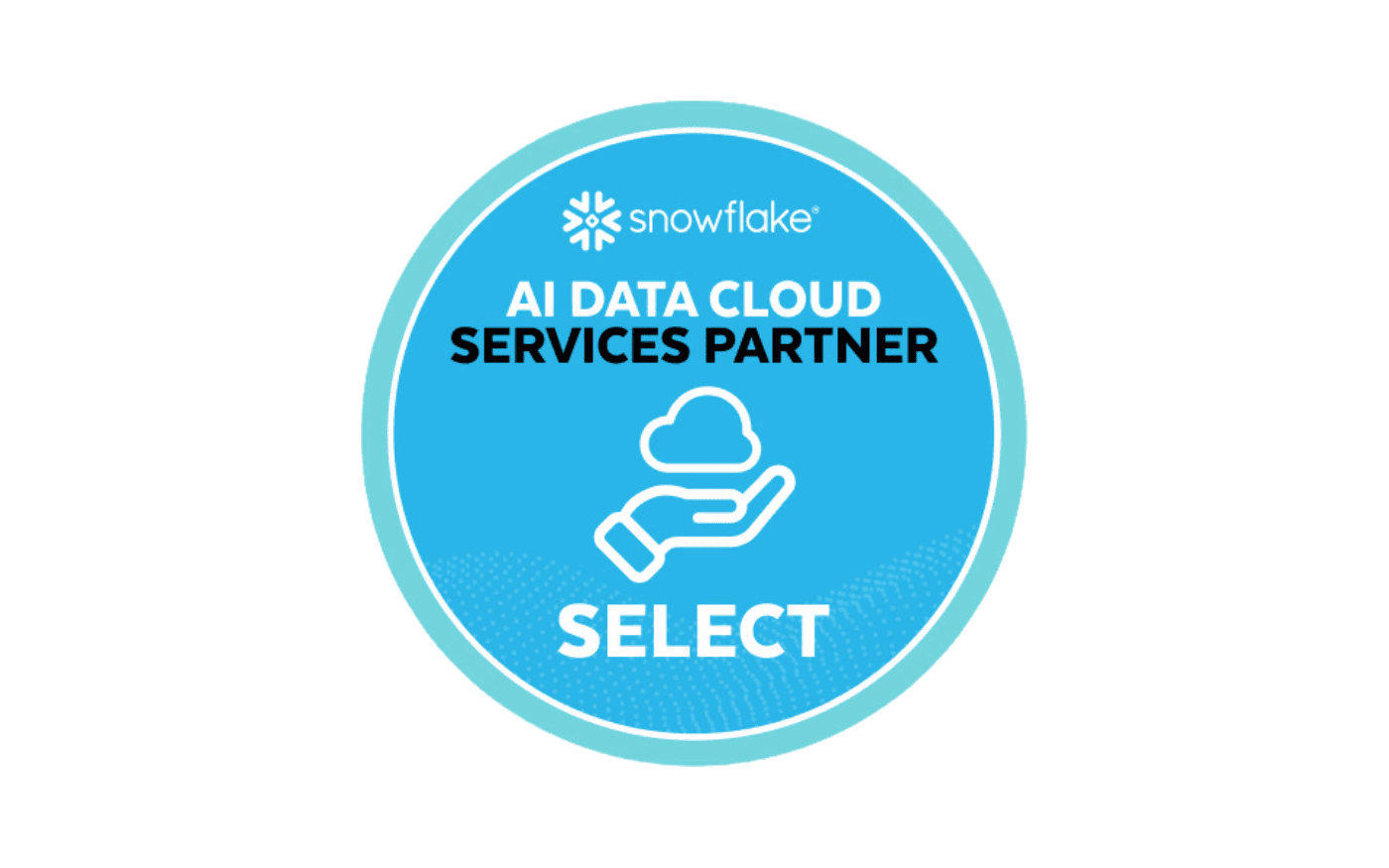 Snowflake Services Partner (2) (1)