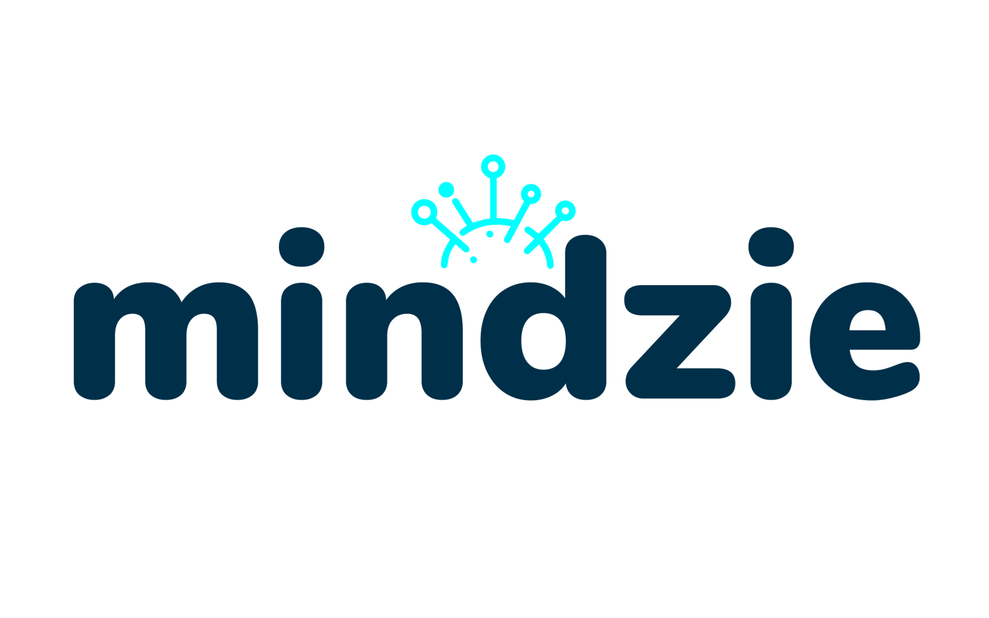 mindzie-2