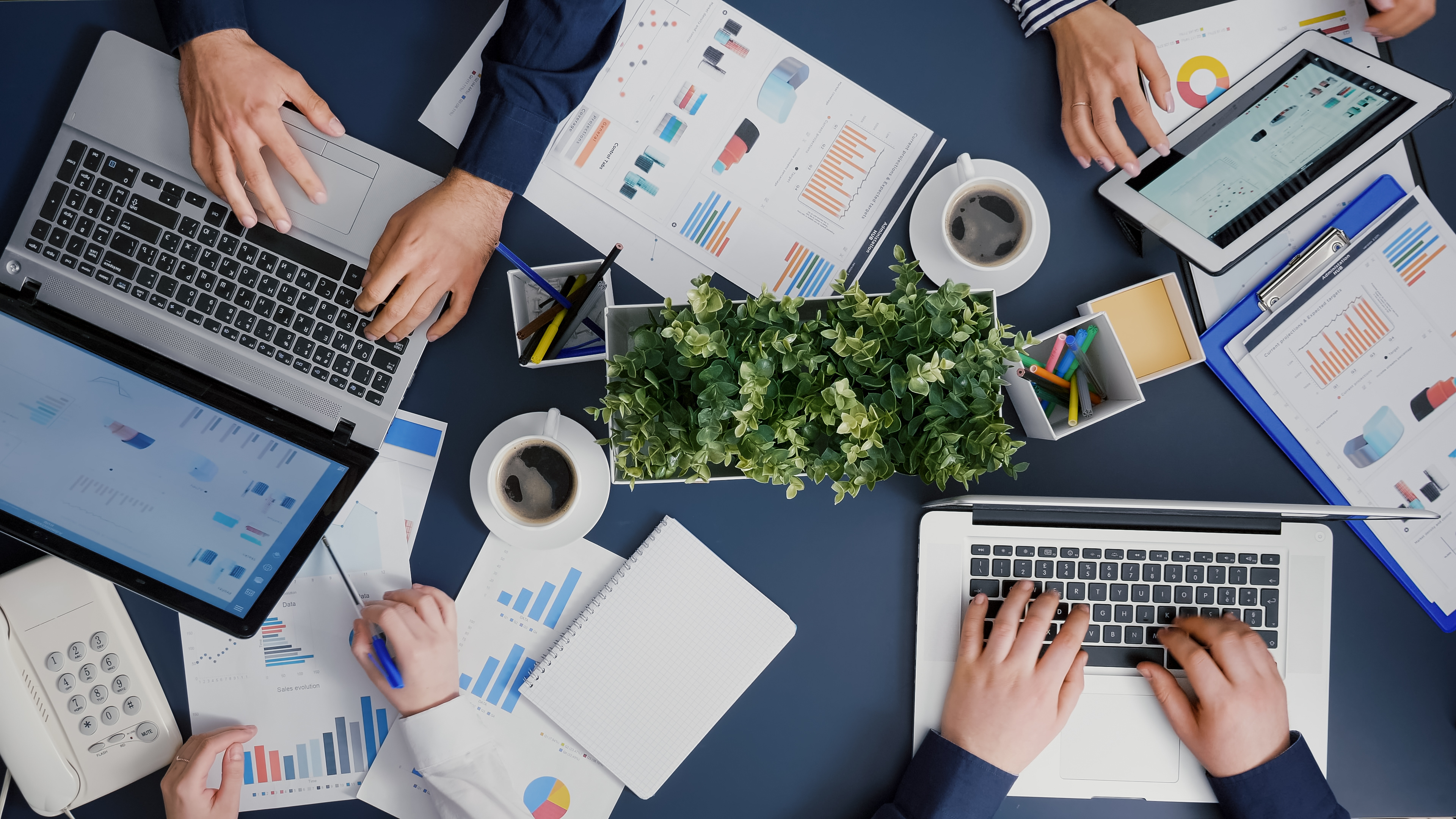 AdobeStock_449650457